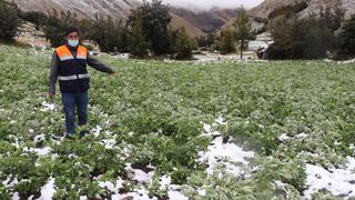 Ayacucho: 16 comunidades y 40 viviendas afectadas por granizada