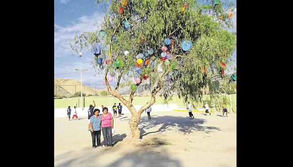 Ayacucho: Prohíben cortamontes con molle