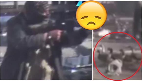 Familia inseparable de patitos deambula en medio de tiroteo en Mosul (VIDEO)