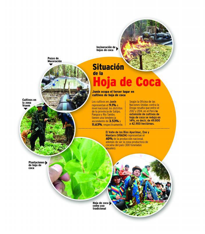 93% de hoja de coca es para la producción de la cocaína