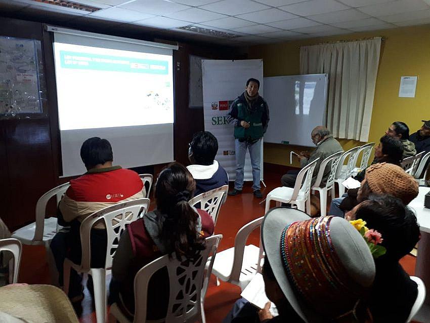 Comuneros de Andaray registraron 5 hectáreas de árboles de eucalipto