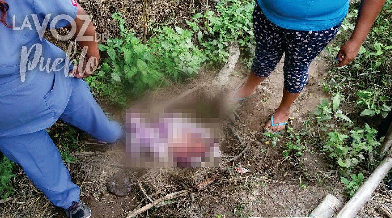 Virú: Bebé recién nacida es encontrada en una chacra 