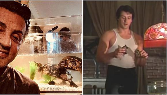 Sylvester Stallone conservó dos tortugas de ‘Rocky’ y ahora tienen esta edad (FOTO)