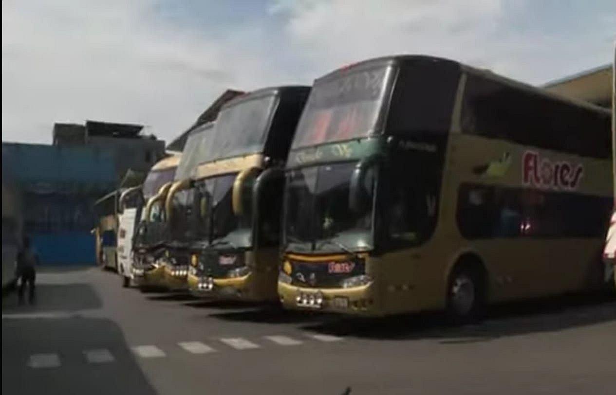 ​Transportes Flores Hnos tiene 500 buses disponibles para el traslado de tacneños