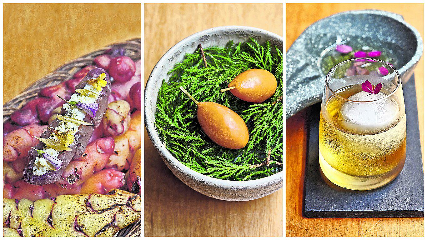 IK sorprende y muestra esta propuesta