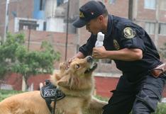 Con la ayuda de perros adiestrados buscan dar con el paradero de heladero desaparecido, en Chimbote 