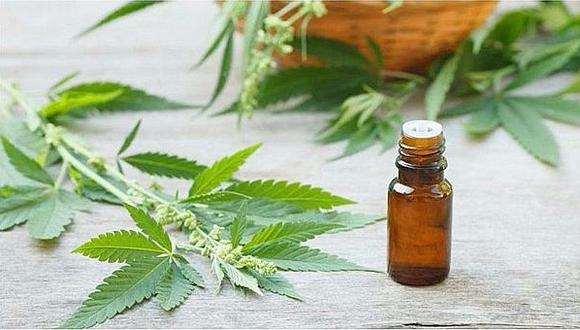 Comisión de Salud del Congreso aprueba dictamen de uso del cannabis medicinal