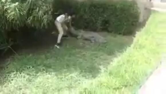 ​Joven mexicana desafió la muerte e ingresó a jaula de cocodrilos (VIDEO)