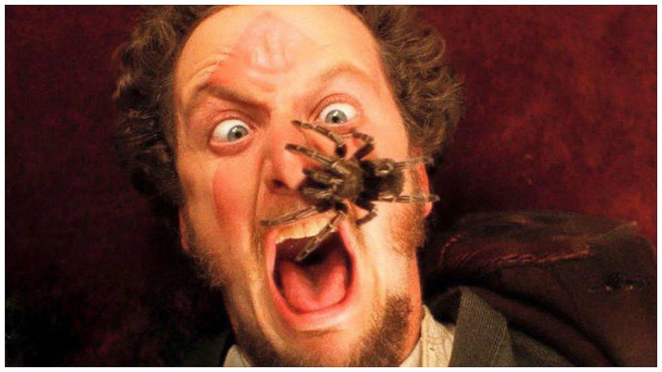 Actor de 'Mi Pobre Angelito' vuelve a asustarse por una escalofriante tarántula (VIDEO)