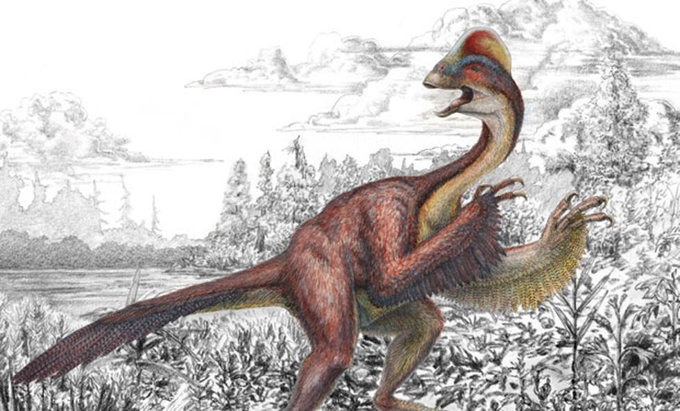 Científicos descubren restos de dinosaurio que vivió hace 66 millones de años