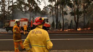 Australia: incendios forestales afectaron al 75% de la población, según un estudio