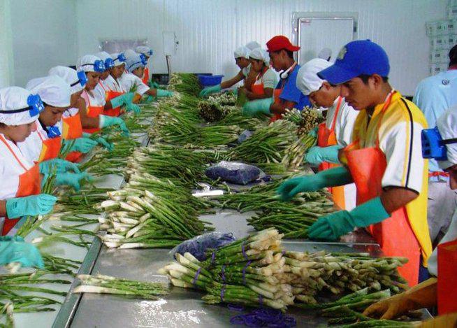 Banco Mundial alerta que el empleo de América Latina se resiente tras 4 años de desaceleración