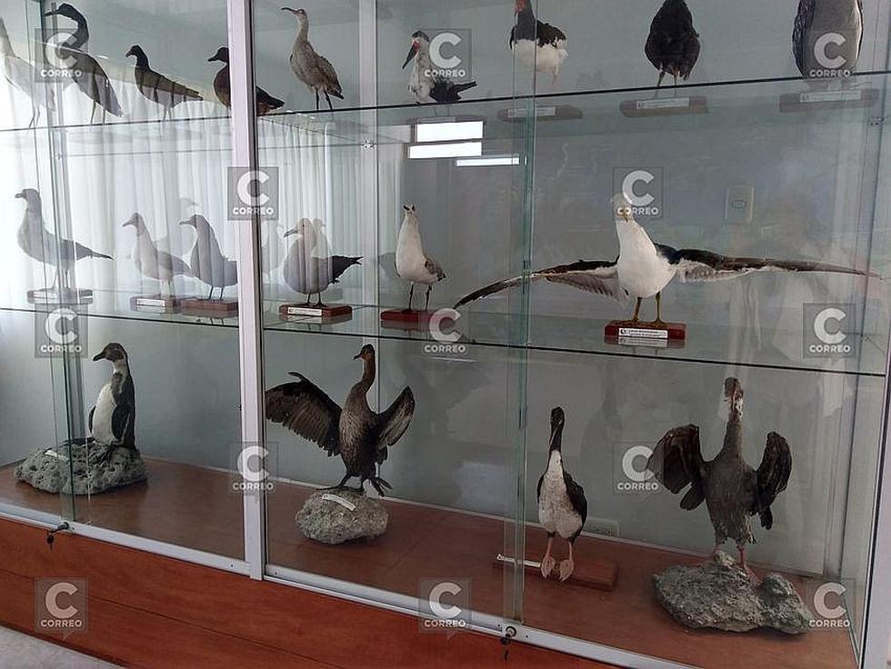 Puertas abiertas en laboratorio de Imarpe en Camaná(FOTOS)