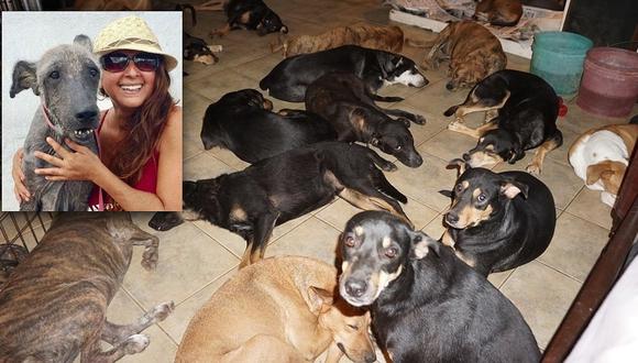 Mujer refugió a 97 perros del huracán Dorian en su casa: "No son como los seres humanos, egoístas"