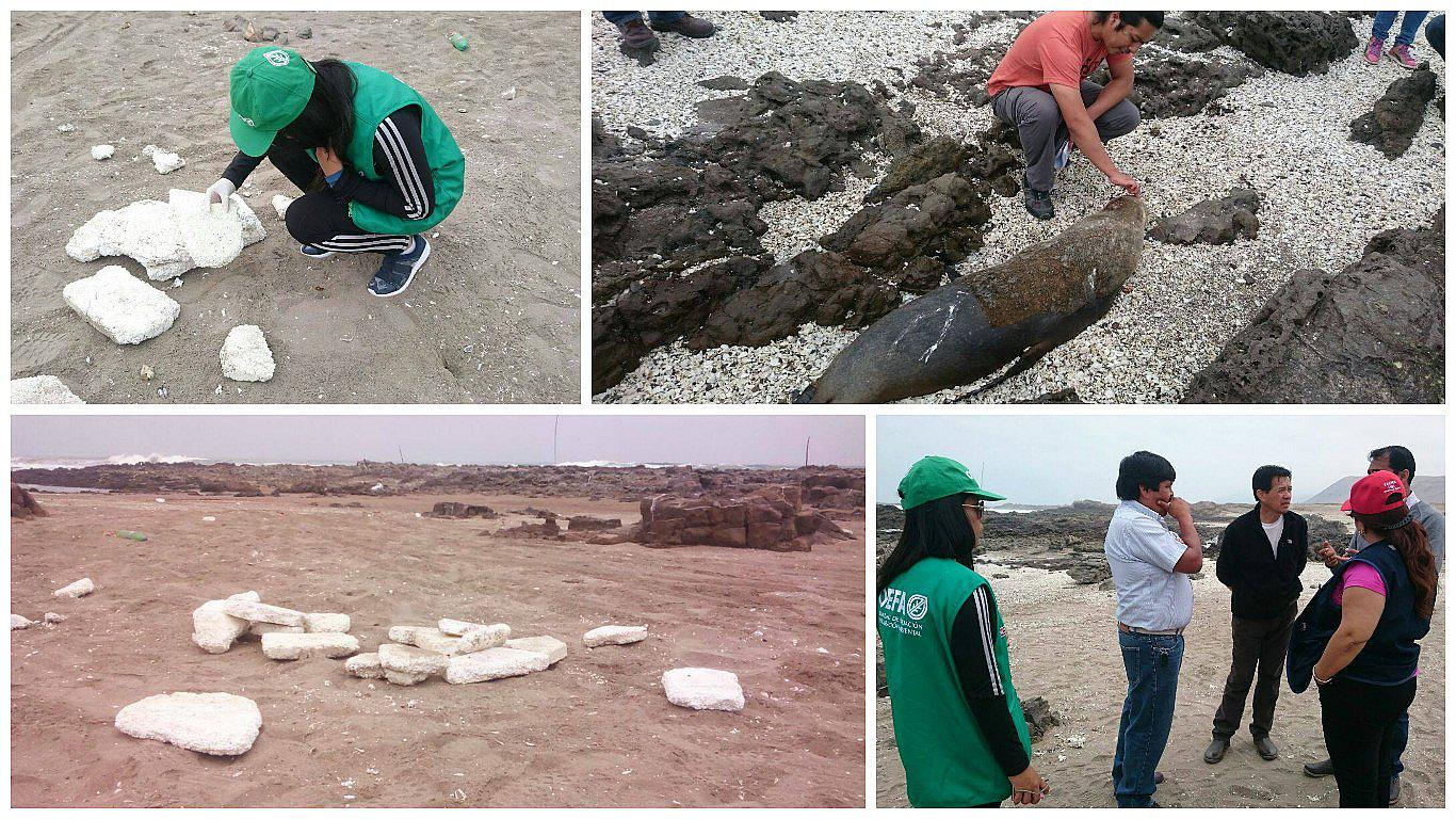 Continúan apareciendo desechos de tecnopor a lo largo del litoral de Tacna