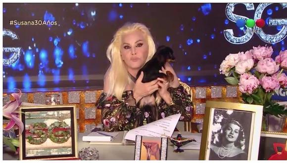 Susana Giménez: un perro se orinó encima de su vestido en pleno programa en vivo (VIDEO)