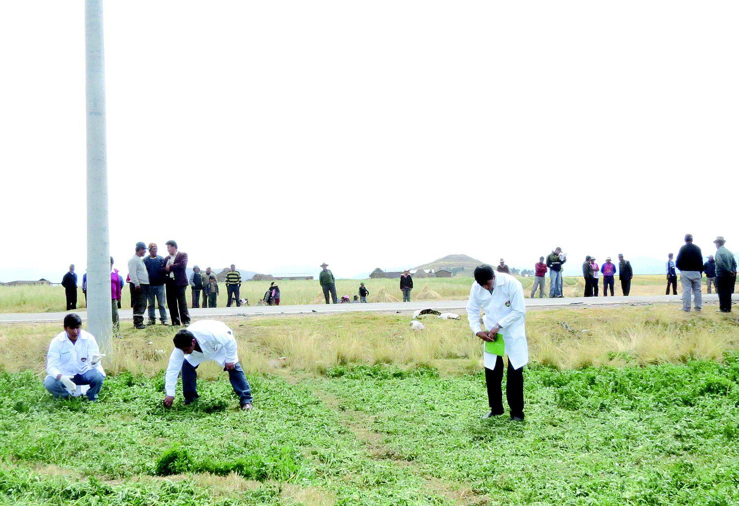 Taraco: asaltantes intentan matar a transportista para robarle su vehículo