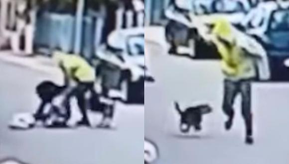 YouTube: Perro héroe impide el asalto de una mujer (VIDEO)