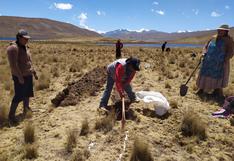 Ayacucho: recuperarán praderas, qochas en benefician a agricultores 
