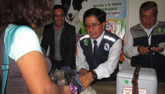 ​Más de 100 mil canes serán vacunados para evitar rabia en Huánuco