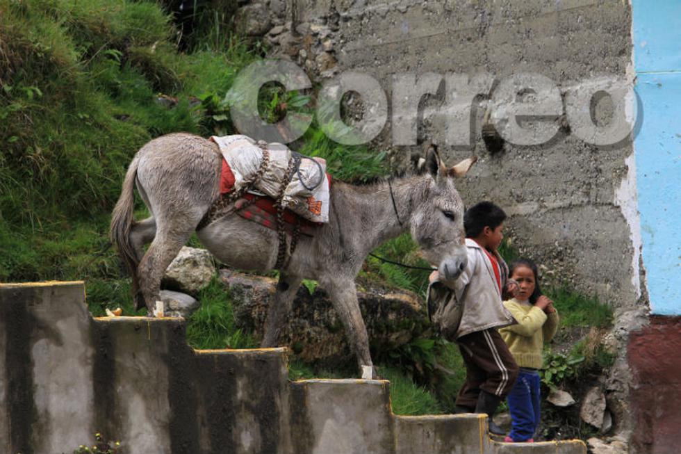 Correo hizo realidad el milagro de Navidad para los niños de Comas (FOTOS)