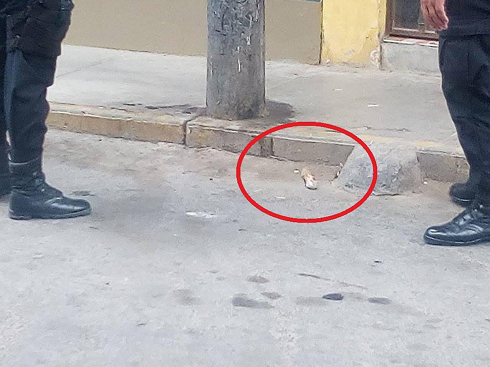 Trujillo: Extorsionadores dejan un cartucho de dinamita en vivienda de estilista 