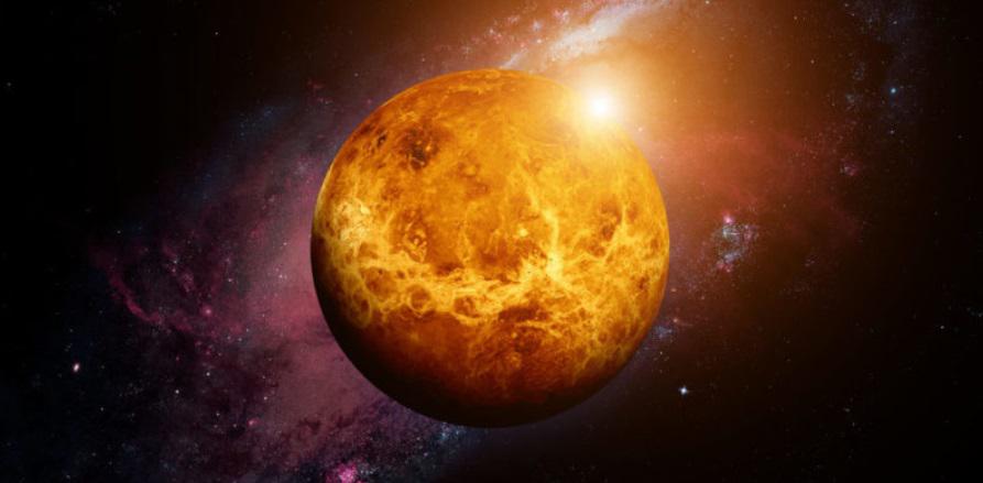 Venus (Foto: Difusión)