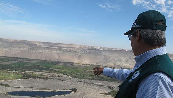 Arequipa: tres mil hectáreas de alcachofa en riesgo por deslizamientos 
