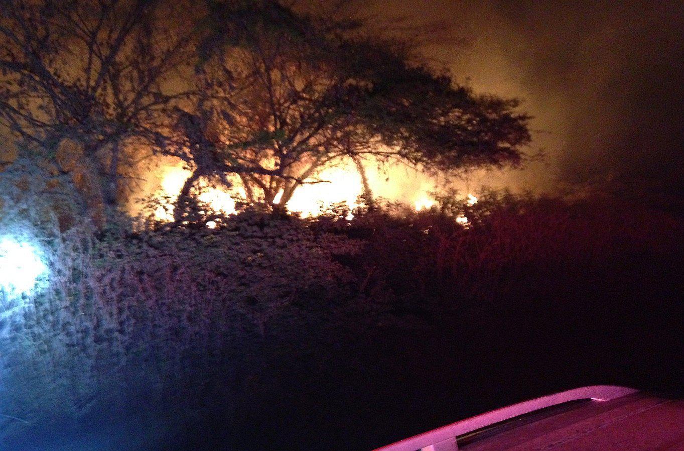 Tumbes: Incendio en el sector Bocapán afecta tres hectáreas de terrenos