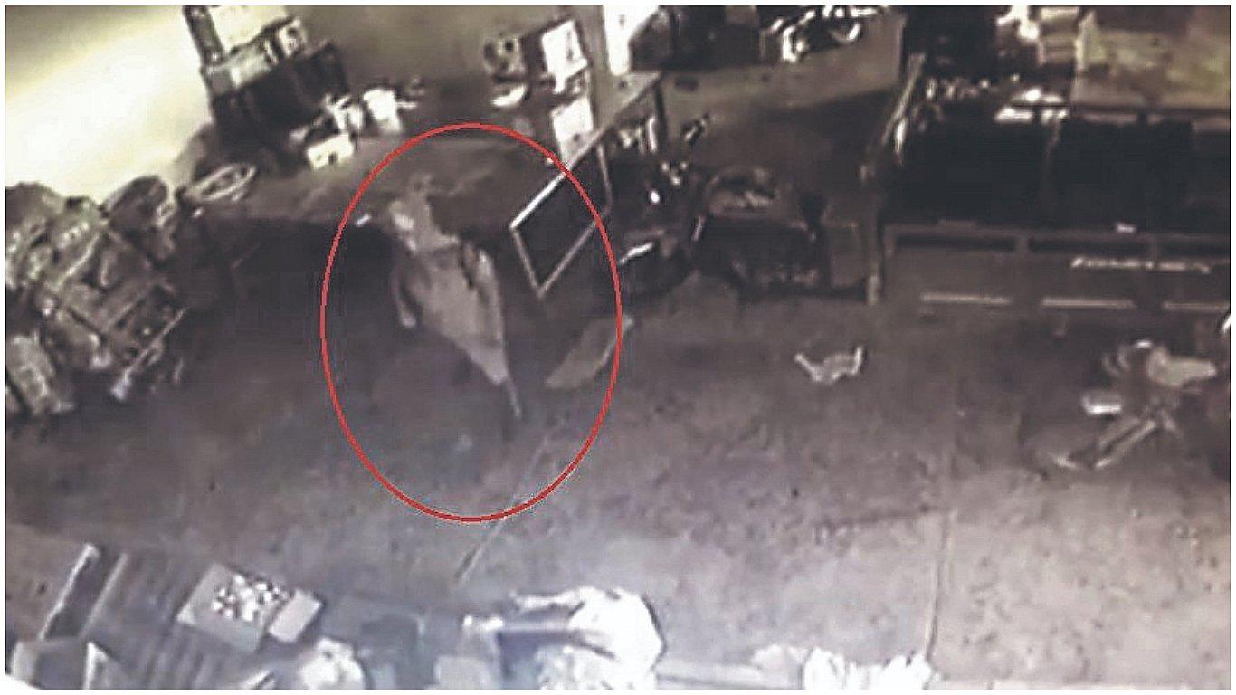 Acusan a un trabajador del robo sistemático de S/ 40,000 de almacén 