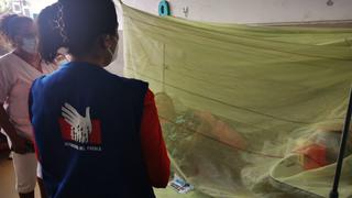 Dengue en el Perú: Ministerio de Salud descarta un desborde de esta enfermedad en el país 