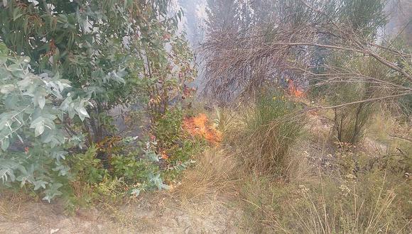 La Libertad: 10 hectáreas de bosque del estado sufrieron incendio en Agallpampa