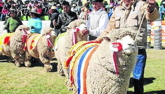 Puno: Melgar es la capital de la ganadería peruana