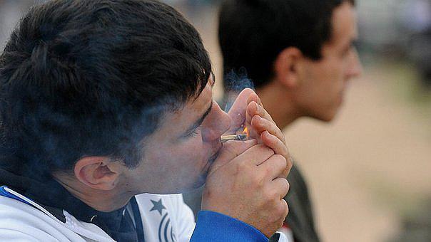 Colombia: ​Alcalde propone construir un "marihuanódromo" privado