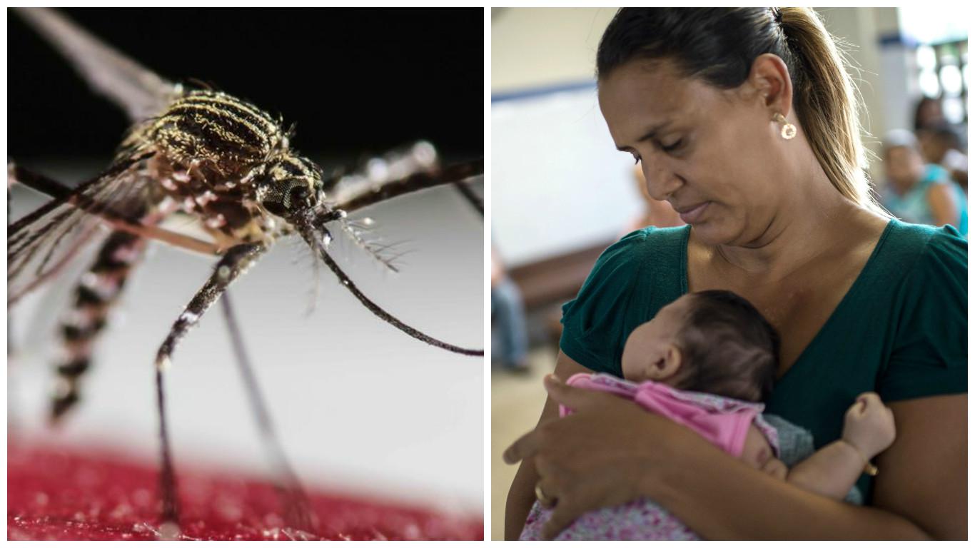 Zika: Investigadores prueban por primera vez la relación entre virus y microcefalia