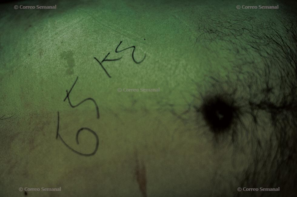 Paradero Final: crónica fotográfica sobre la Morgue de Lima