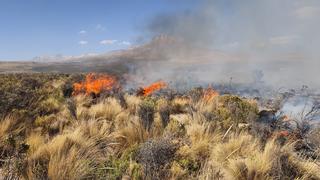 Dos muertos y tres graves al tratar de sofocar incendio forestal en Huancavelica 