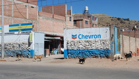 Perros callejeros se multiplican en la ciudad de Puno 