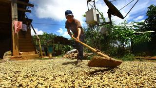 Agricultura: Cuatro tendencias tecnológicas que vienen impactando en el sector