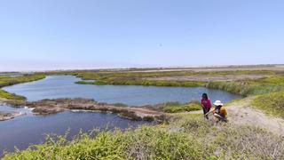 Por primera vez investigan flora y fauna silvestre de los humedales de San José