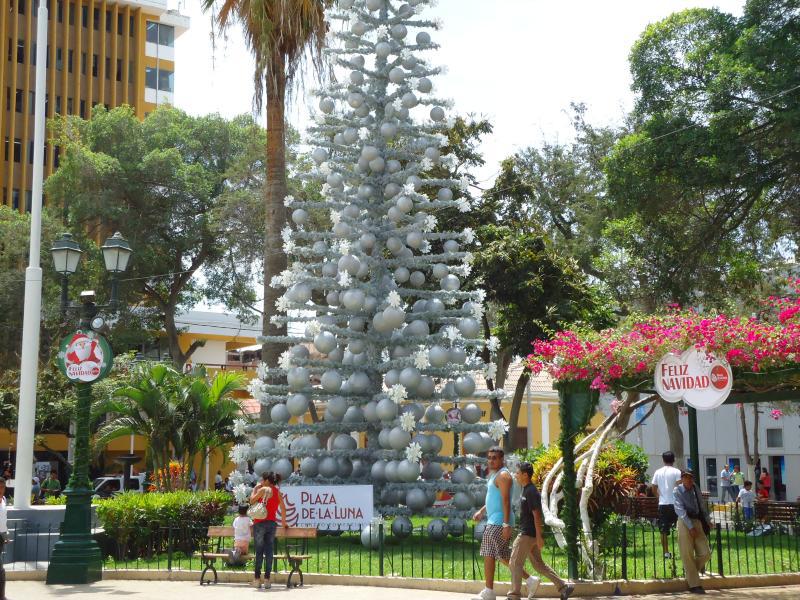 Piura vive la Navidad bajo un hermoso árbol en la plaza de armas