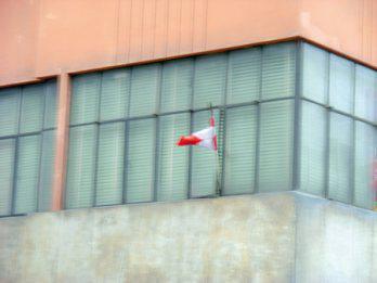 Uso y abuso de nuestro símbolo patrio