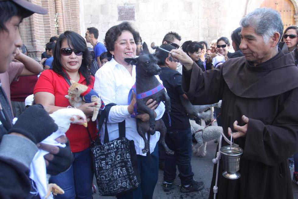 Dia de bendicion de mascotas