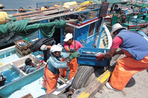 Pescadores exigen pago a armadores