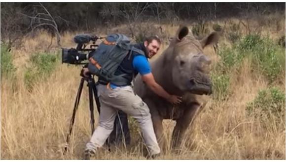 YouTube: rinoceronte pide que le rasquen la barriga y esto fue lo que pasó (VIDEO)