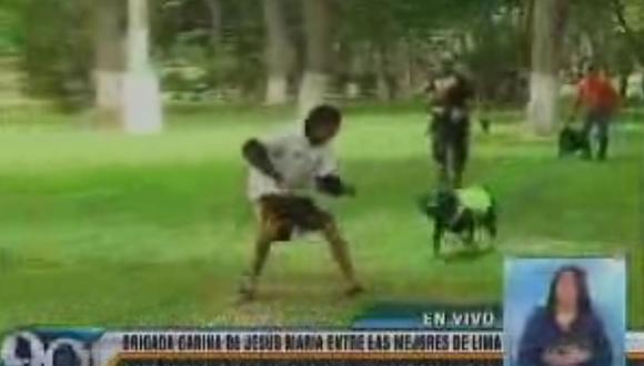 La brigada canina de Jesús María apoya labores de seguridad (VIDEO)