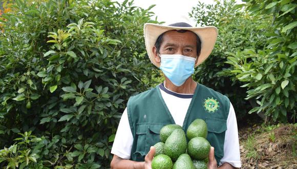 En el 2021, Perú despachó a Tailandia productos del sector agroindustrial por US$ 11.2 millones, 5.9% más respecto al 2020. (Foto: GEC)