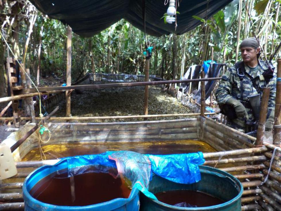 Destruyen insumos para droga en Monzón