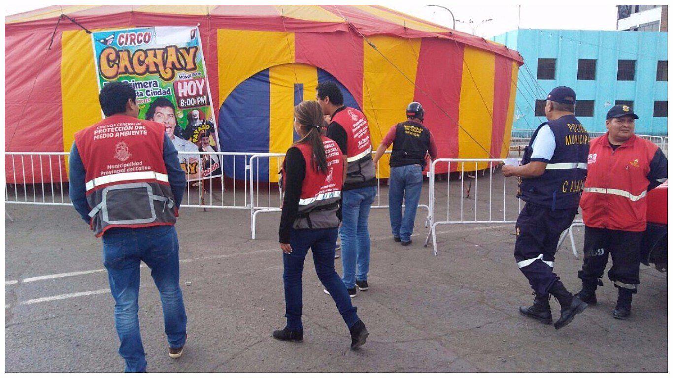 Callao: Municipalidad cierra circo de "Cachay" por no contar con licencia (FOTOS)