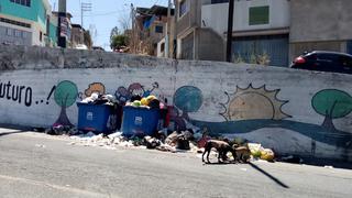 Arequipa: Trabajadores de Paucarparta dejaron de recoger basura en el distrito